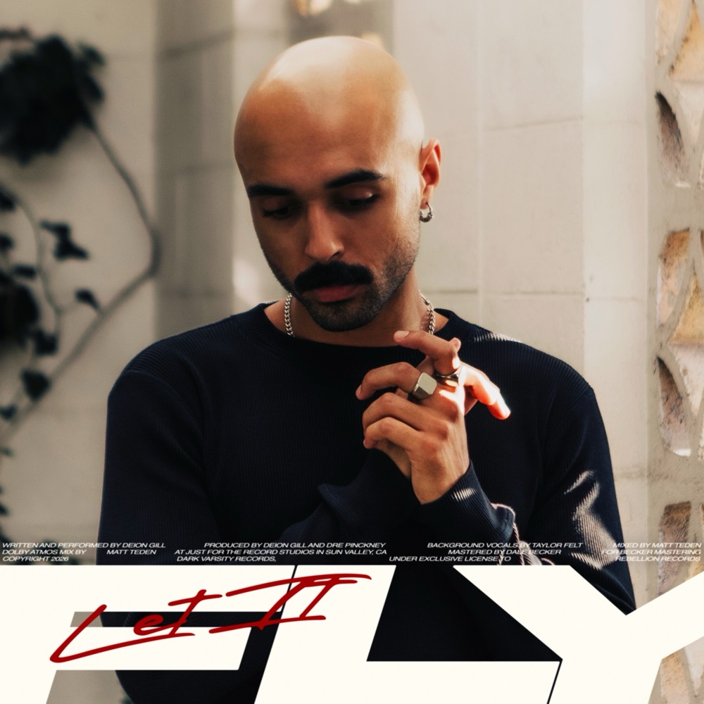 Let It Fly cover art